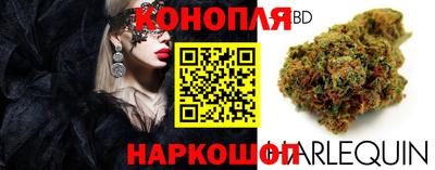 индика Балаково