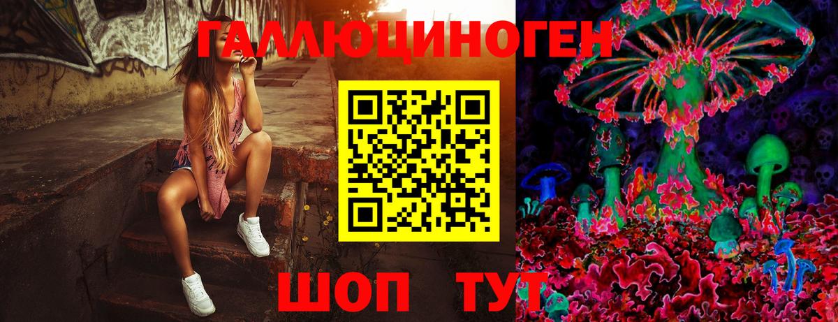 Псилоцибиновые грибы мухоморы  Вход с VPN  Гай 