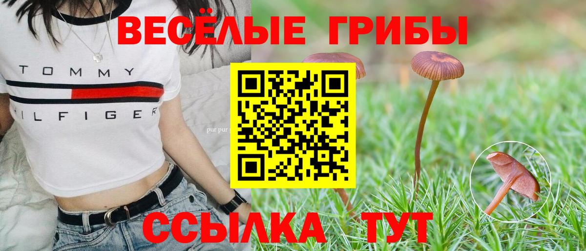 Галлюциногенные грибы прущие грибы Гай
